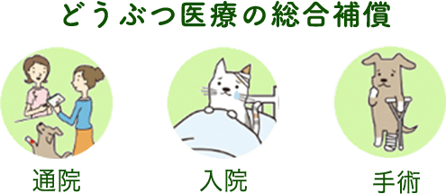 どうぶつ医療の総合補償 通院 入院 手術