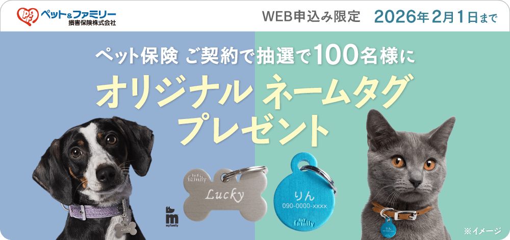 ペット&ファミリー損保期間限定キャンペーン