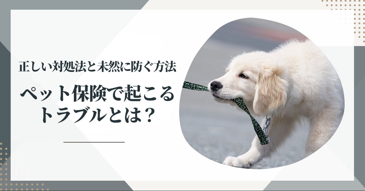 ペット保険で起こるトラブルとは?正しい対処法と未然に防ぐ方法