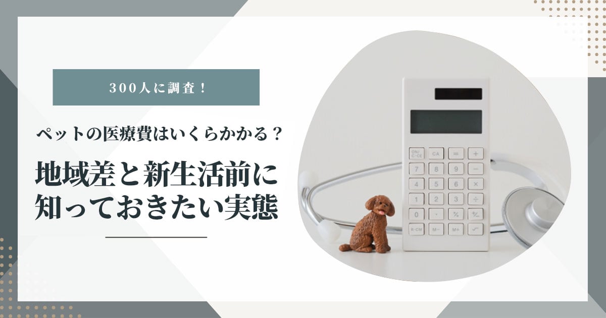 電卓と聴診器、犬のぬいぐるみの写真