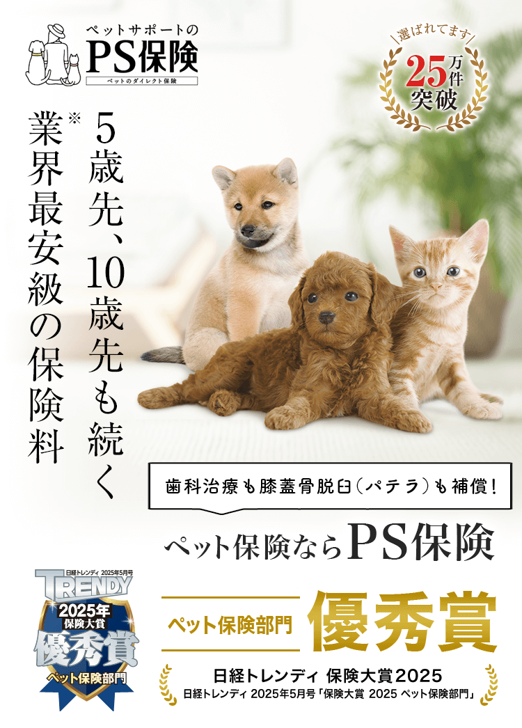 5歳先、10歳先も続く業界最安級の保険料