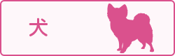 犬