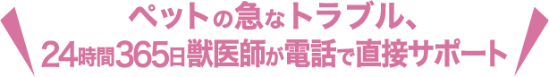 ペットの急なトラブル、24時間365日獣医師が電話で直接サポート