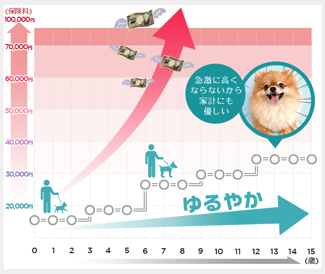 急激に高くならないから家計にも優しい