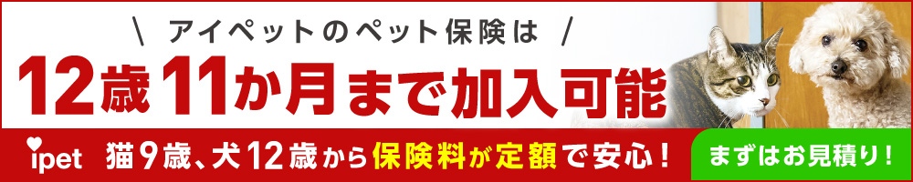 9歳以上の高齢でも入れるペット保険 おすすめの保険を徹底比較 ペット保険ステーション